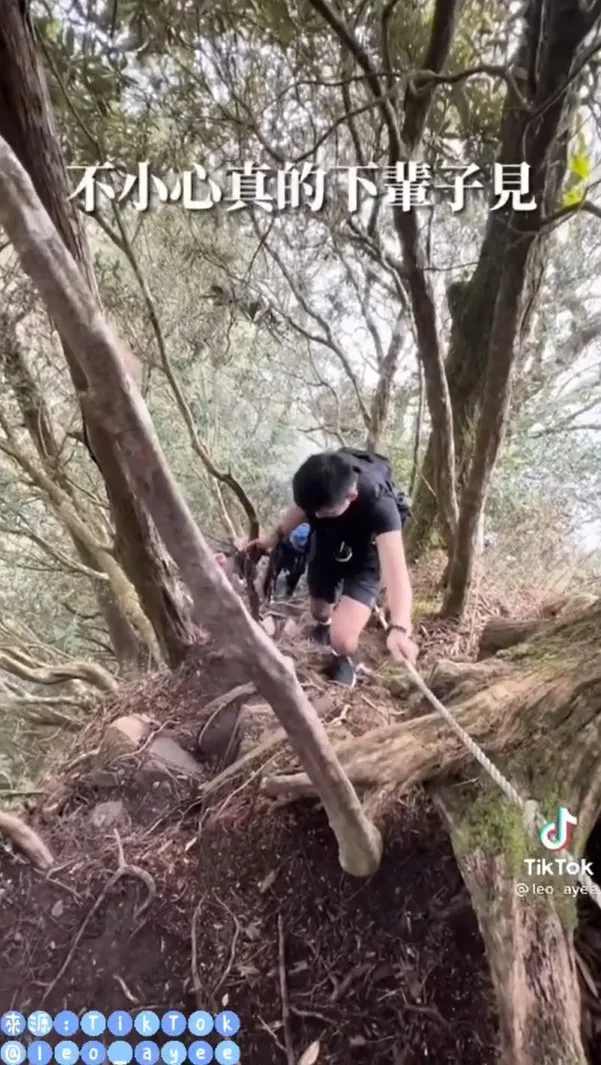 山徑樹幹盤根錯節沒踩穩很容易滑倒，雨天不建議前往。。TikTok@leo_ayee 提供