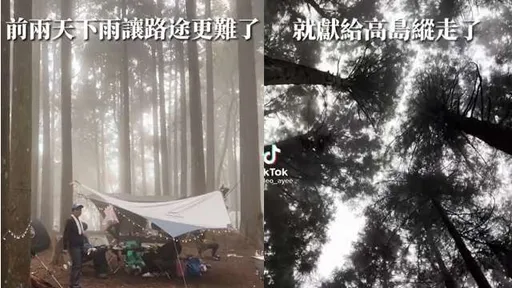 朝聖夢幻路線「高島縱走」 漫步六星級步道!還能享受森林野營