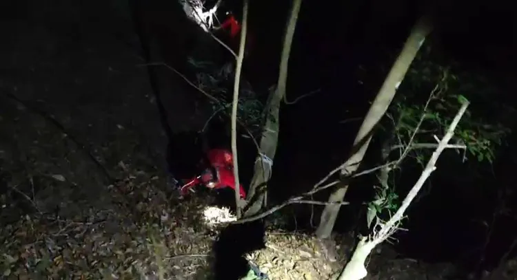 蕭姓男子疑因迷途不慎滑落邊坡，受困崩壁樹旁5小時，搜救人員到達現場救援。民眾提供