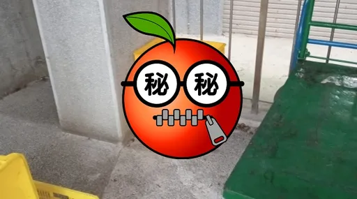 他見地上4個箱子「化成塑膠我都認得」！　萬人秒懂笑翻