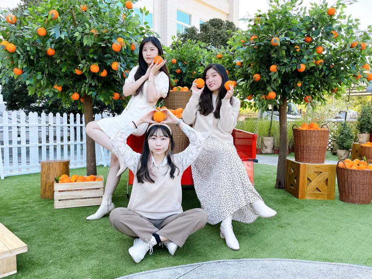 南法橘子莊園的打卡場景。業者提供