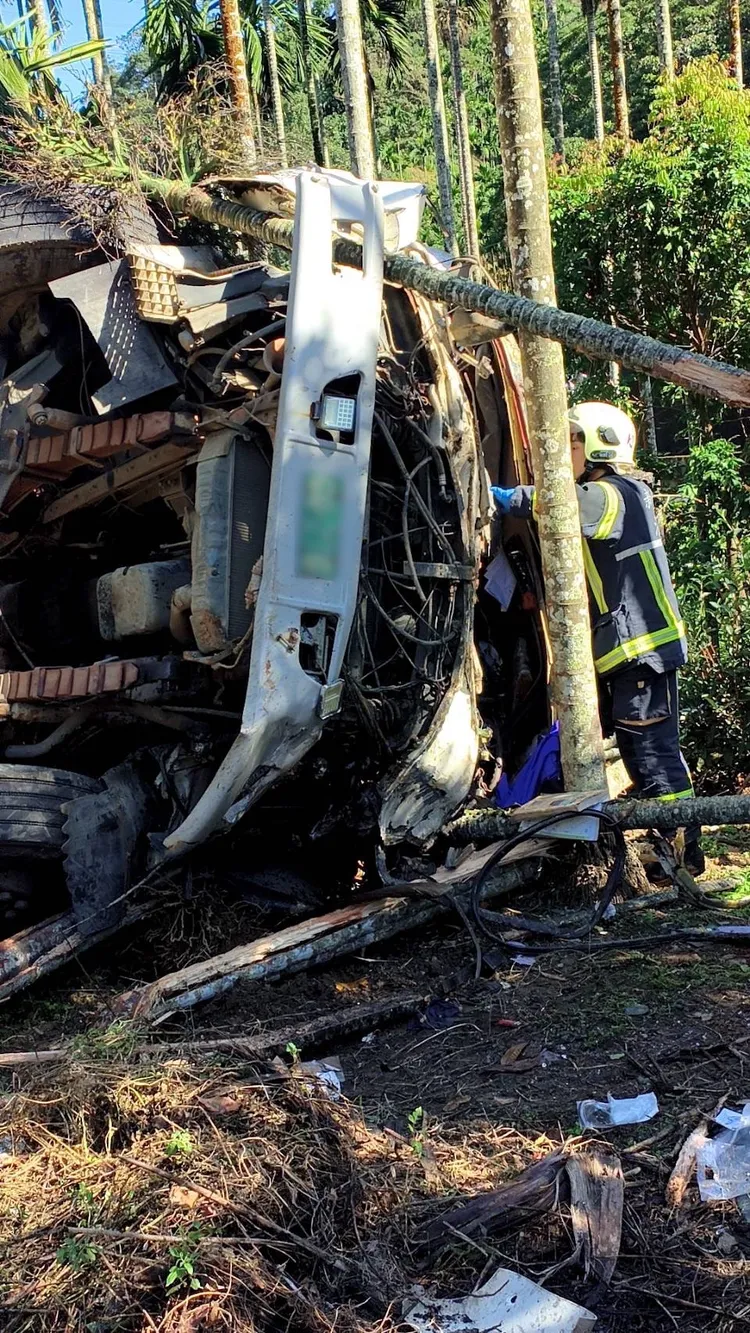 大貨車翻落邊坡後，撞上樹枝後停下。警消提供