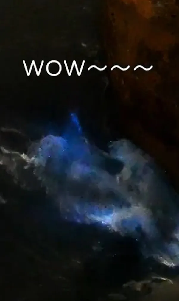 一種夜光蟲（渦鞭毛藻），因受到海浪拍打，刺激而發出藍光。YouTube@羅時豐D.L 不務正YA 提供