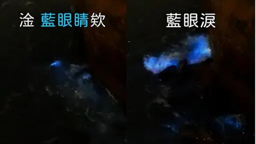 男歌手見藍眼淚!自嗨笑到癡呆 男人的快樂「就是這麼簡單」