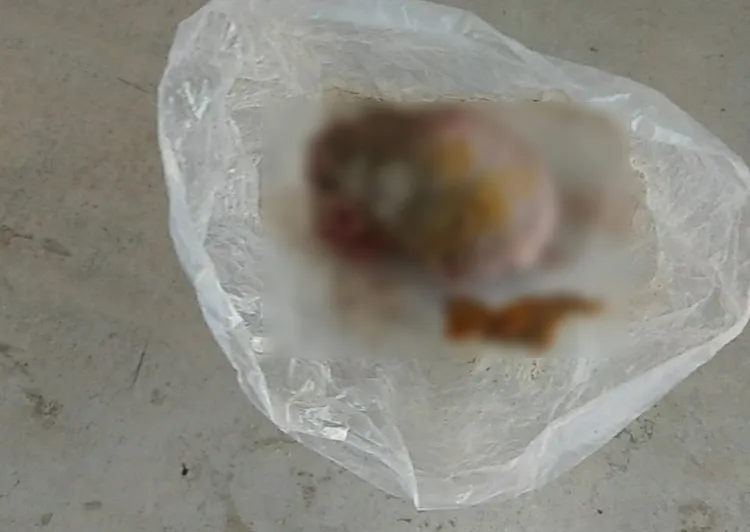 廟方在香爐發現生雞頭。讀者提供