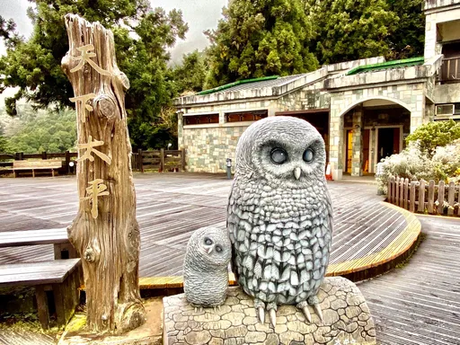 冷吱吱!寒流全台急凍 太平山霧淞美景遊客驚艷