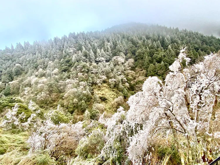 翠綠山巒披上白紗。太平山莊提供