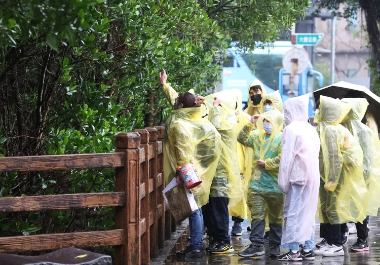 向小局長說明水筆仔、自然生態，並解釋碳匯對淨零的重要性。環保局提供