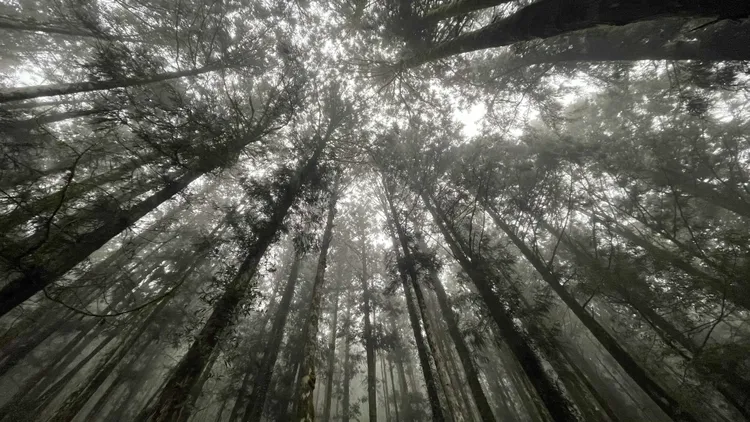 明池冬季限定美景。力麗觀光提供