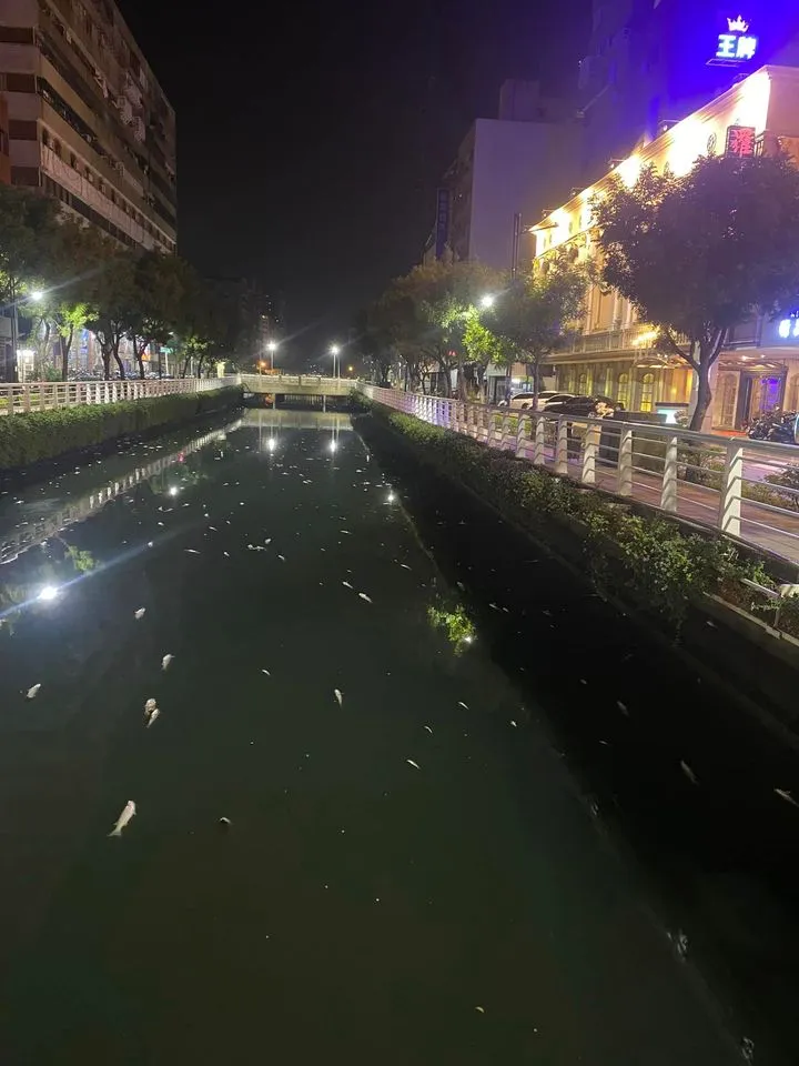 高雄河北路與南台路口的幸福川，今清晨驚見大量魚屍，翻攝臉書社團高雄大小事