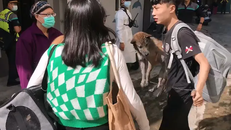 其他租客抱著落難柴犬送醫檢查。民眾提供