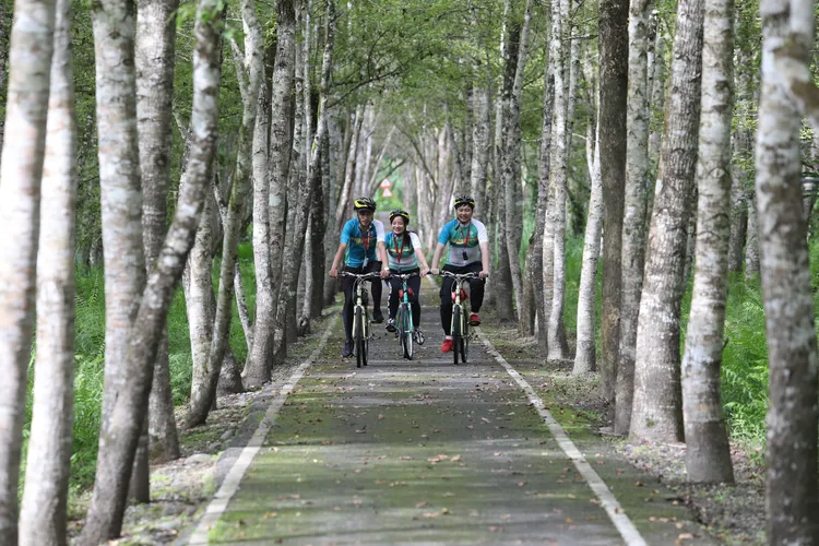 適度的運動，改善水腫的問題。示意圖／資料照