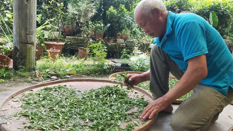 坪林區青心茗坊由謝金土及女兒謝佳妤共同經營，獲得「美食風味獎」三星獎及二星獎。市府提供