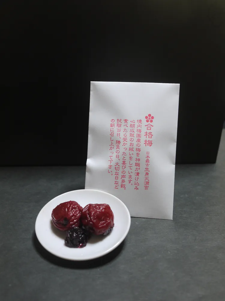 生身天滿宮合格梅。京都府觀光聯盟提供