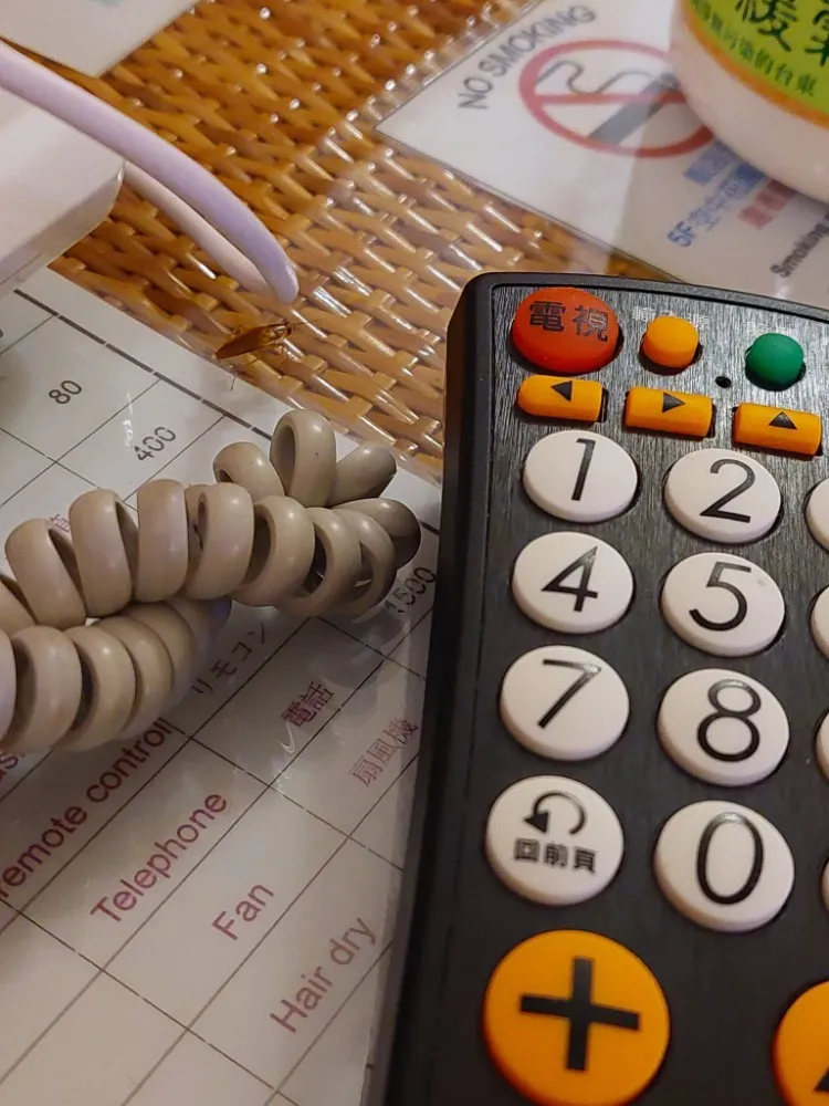 房間內還出現小強。翻攝《爆料公社》