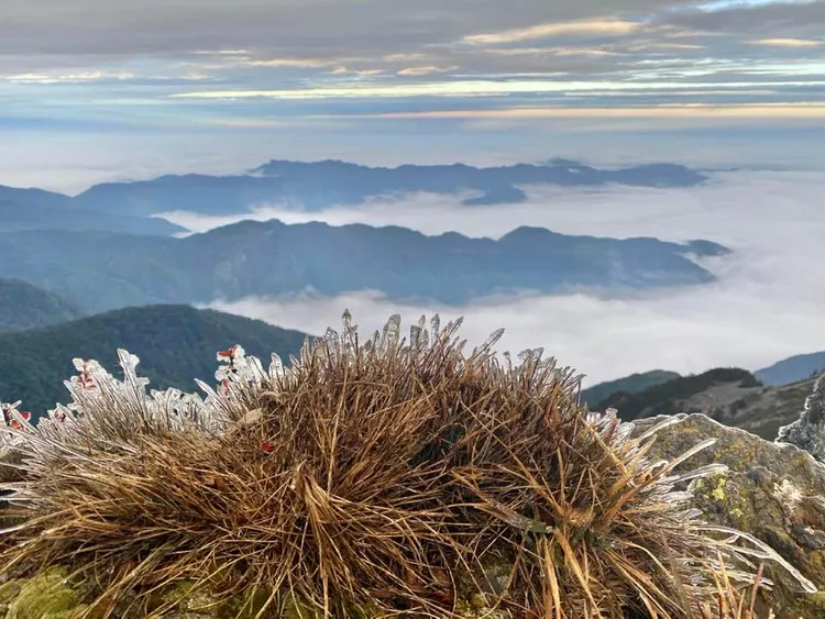 氣象局長鄭明典在臉書分享玉山上「凍雨」冰封花木奇景，網友紛紛讚嘆：「可敬的自然！」翻攝《鄭明典》臉書