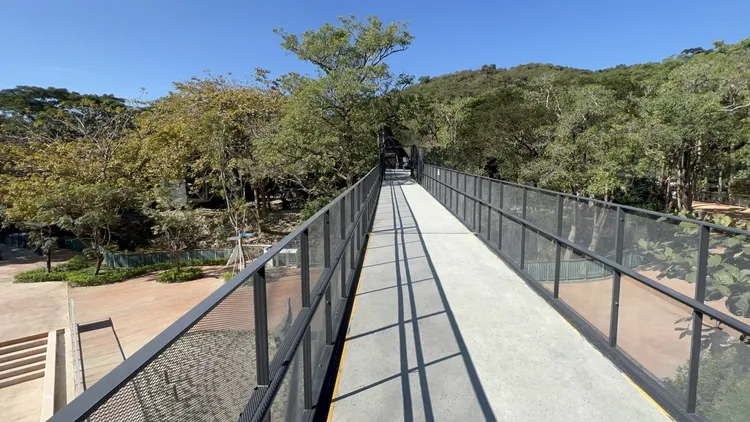 園方說空中廊道降低對動物的干擾影響。侯昌騰攝