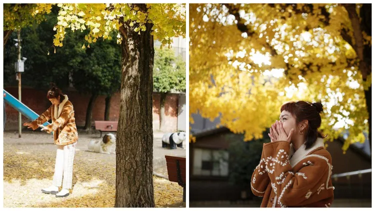 女星李霈瑜在11月底於日本京都小旅行，某天她穿搭Maje麂皮翻領刷毛短大衣與絲質印花襯衫、長褲，路過公園見到冬日暖陽映照的黃澄澄銀杏葉，畫面浪漫。翻攝piopiolee IG