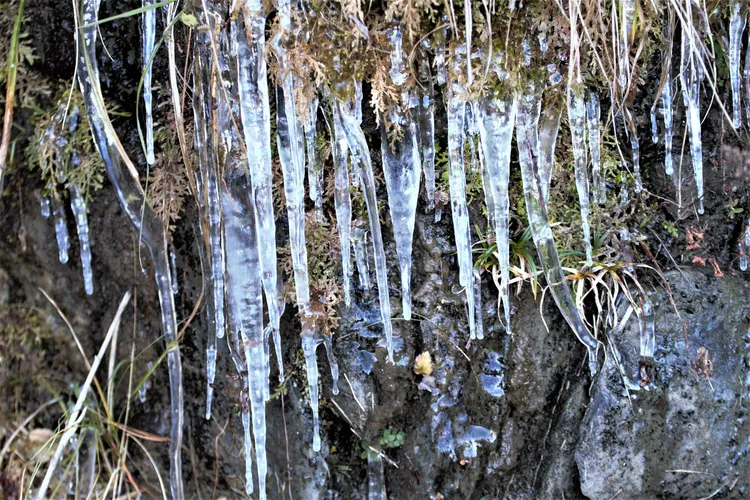 寒流帶來的低溫效應，導致山壁形成冰柱。玉管處提供