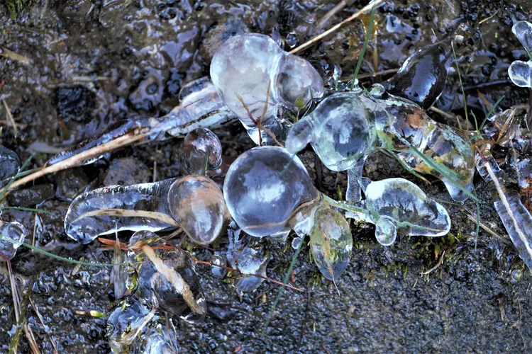 地面也有出現難得一見的冰珠。玉管處提供