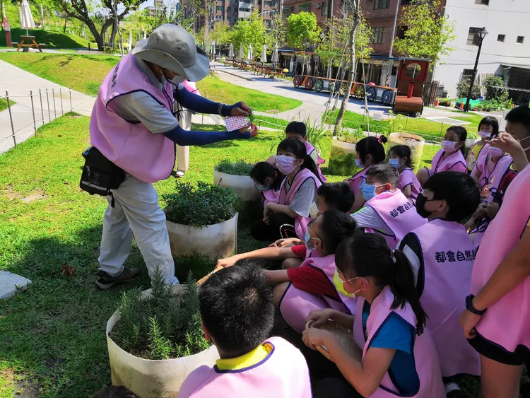 梯田生態導覽解說。桃園市工務局提供