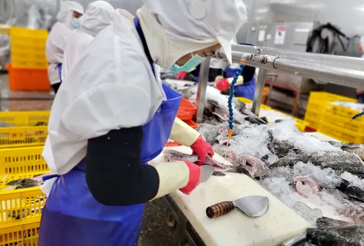 中國突襲禁台灣水產品　蔡英文：對兩岸貿易正常往來沒幫助！