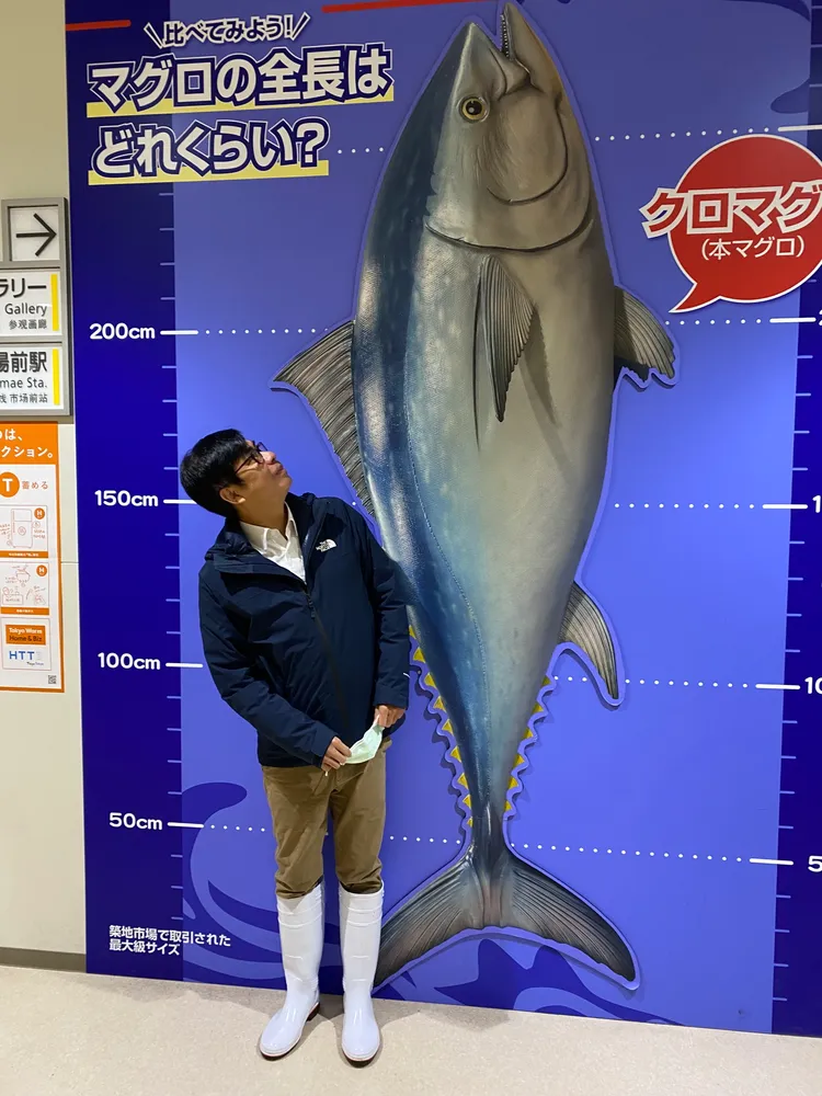 陳其邁參觀豐洲市場，拍賣最大黑鮪魚紀錄（288公分長）。市府提供