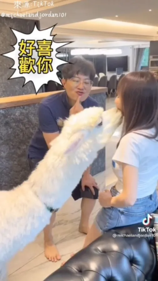 麥可眼中只容的下阿嬤，麼麼噠幾次都不嫌多mua mua mua~。TikTok@michaelandjordan101 提供