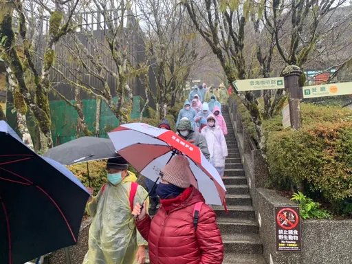 霸王寒流來襲!太平山氣溫驟降水氣足 逾千遊客入園追雪