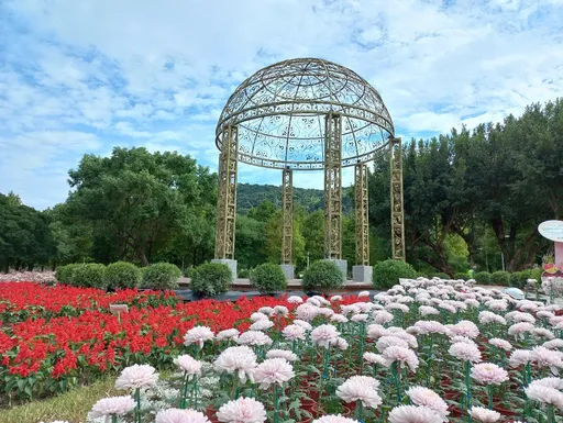 2023「花IN台北」開跑 每月都有花季促觀光復甦