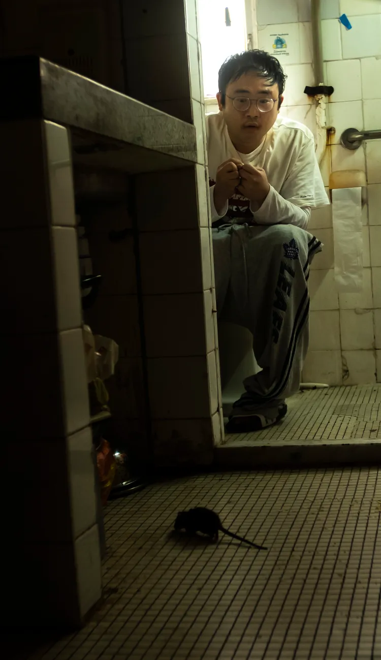 飾演共犯的劇場演員麥沛東首次主演電影，就榮獲第 46 屆香港國際電影節新秀電影競賽（華語）「最佳男演員」。甲上提供