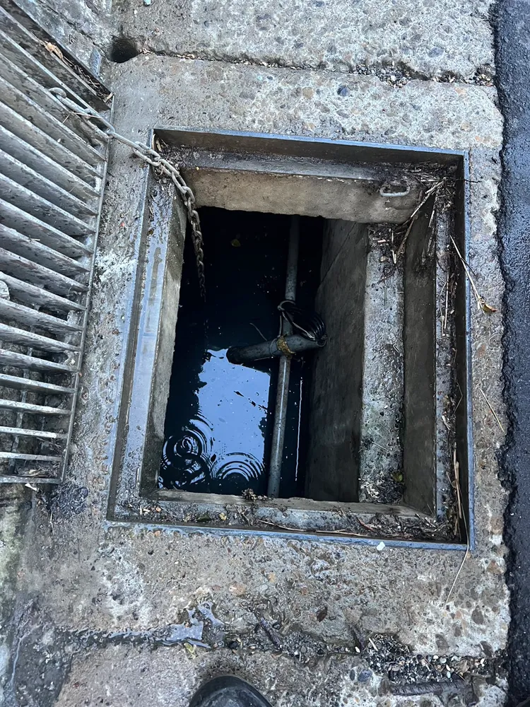 水溝內的化糞池水。新竹市環保局提供