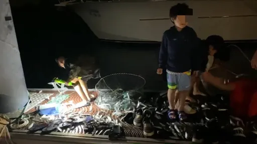 奇觀影片!台南安平碼頭一大群青鱗仔跳上岸 遊艇趴大驚奇