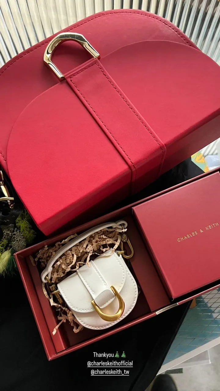 新加坡輕奢時尚品牌CHARLES & KEITH為孫芸芸獻上旗下熱銷的Gabine馬鞍包及可愛的AirPods保護套。翻攝aimeeyunyunsun IG