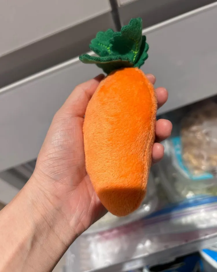 鄧福如兒子塞胡蘿蔔玩具在冰箱，網都推說老公放的。翻攝鄧福如IG