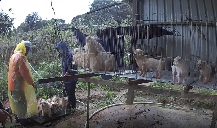 現場環境髒亂。動保處提供