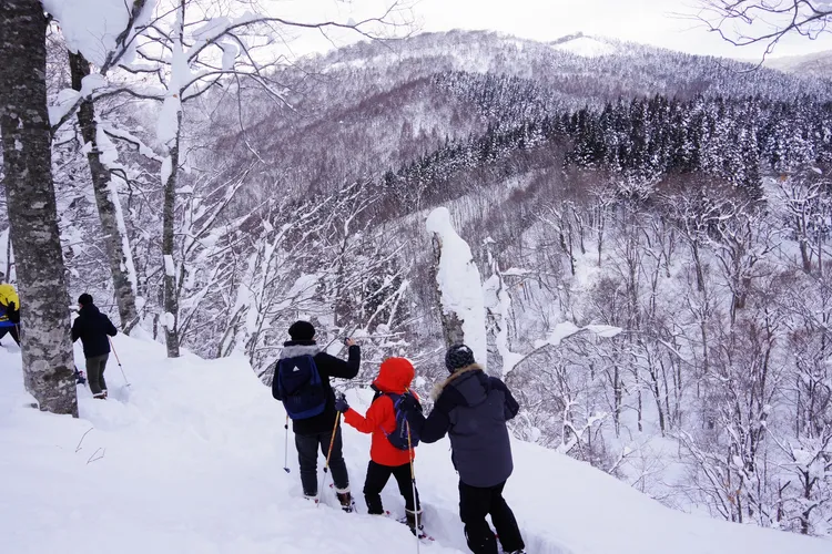 乳頭温泉郷雪鞋健行。秋田觀光單位提供