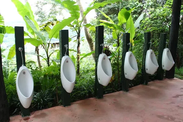 還有人說「綠世界的男廁也蠻厲害的」。翻攝《路上觀察學院》社團