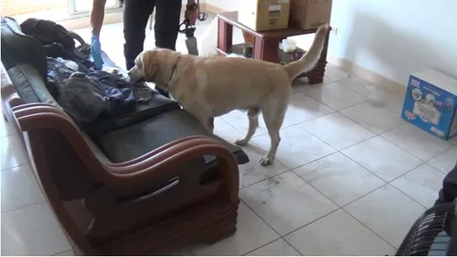 离奇！北市信义区豪宅屋主「在家失踪」　检警找到迹证声押2嫌