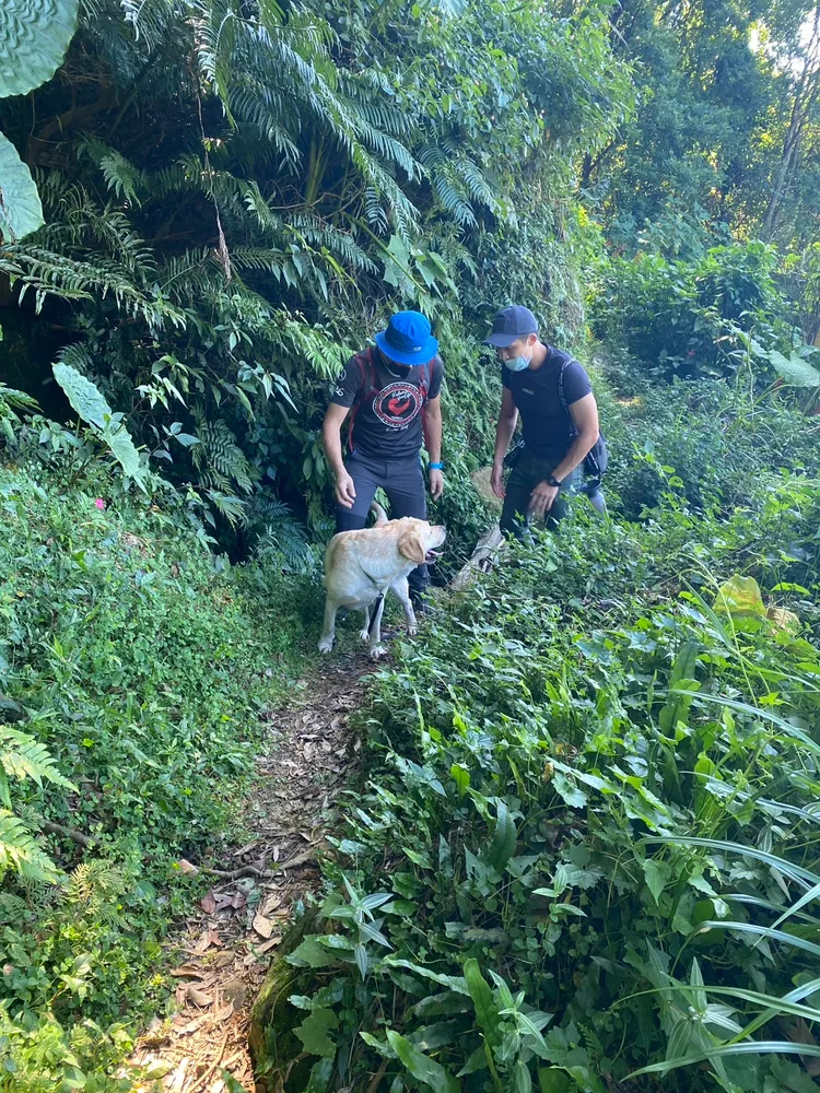 警方多次搜山未果。翻攝畫面