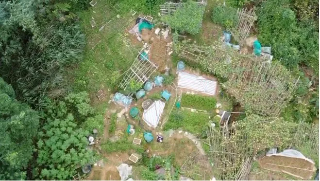 警方透過空拍機搜山。翻攝畫面