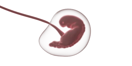 「消滅子孫」大戰!人妻不孕借卵生子失敗 夫瞞著她銷毀胚胎這下GG了