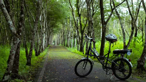 串聯花東縱谷、最美森林溫泉線道 花蓮糖廠自行車驛站啓用