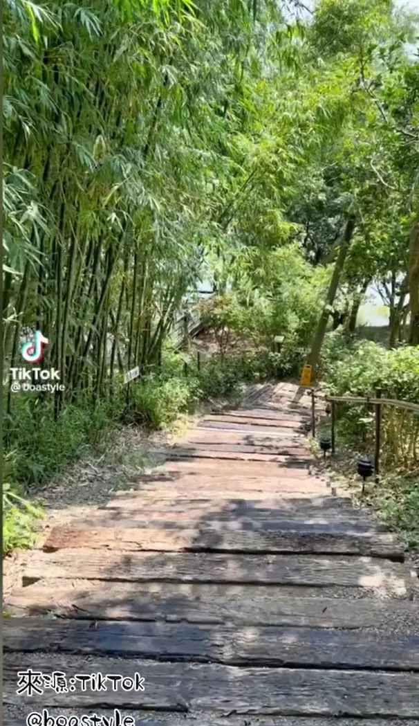 隱身在竹子林中的咖啡館。TikTok@boastyle 提供
