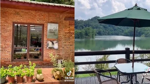 竹林深處紅磚老屋成時尚咖啡廳 擁絕美湖景宛如置身仙境