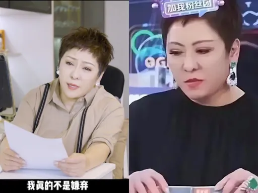 向太直播玩汪小菲床墊梗1周掉百萬粉　拍懺悔片「會檢討改進」