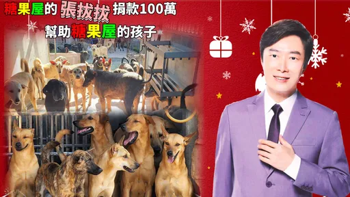 費玉清連5年捐百萬給毛小孩 這些團體證實超有愛