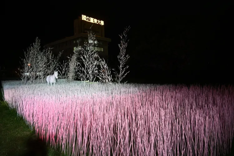 作品《粉紅色森林》，以海量竹子作為媒材，一根一根「種」出暈染著粉紅色的雪白森林。台東縣政府提供