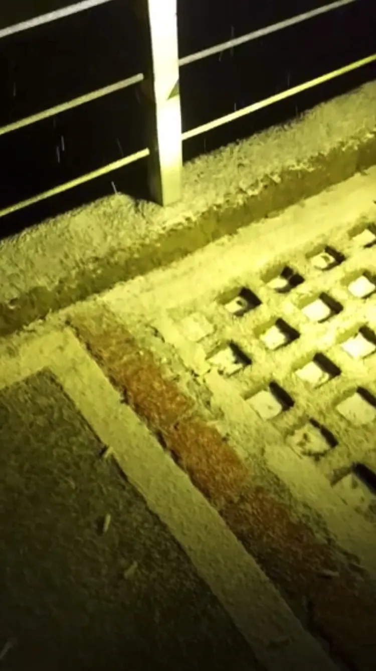 由於降雪只有約3分鐘時間，因此積雪不明顯。出自臺灣追雪團