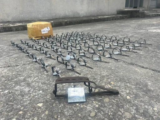 網售捕獸鋏遭檢舉 新北動保處循物流追罰惡盤商